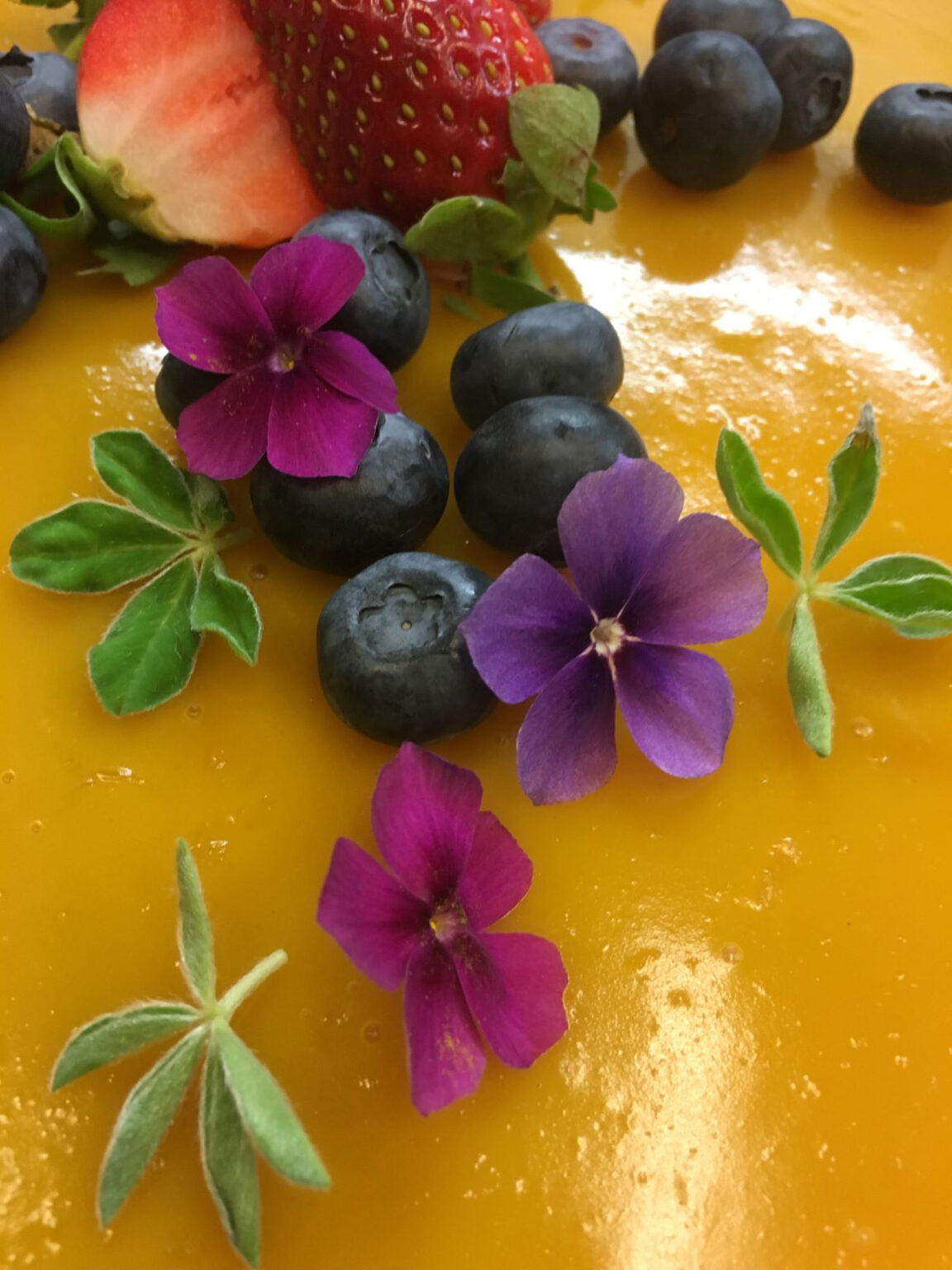Modetti Palvelut - Modetti